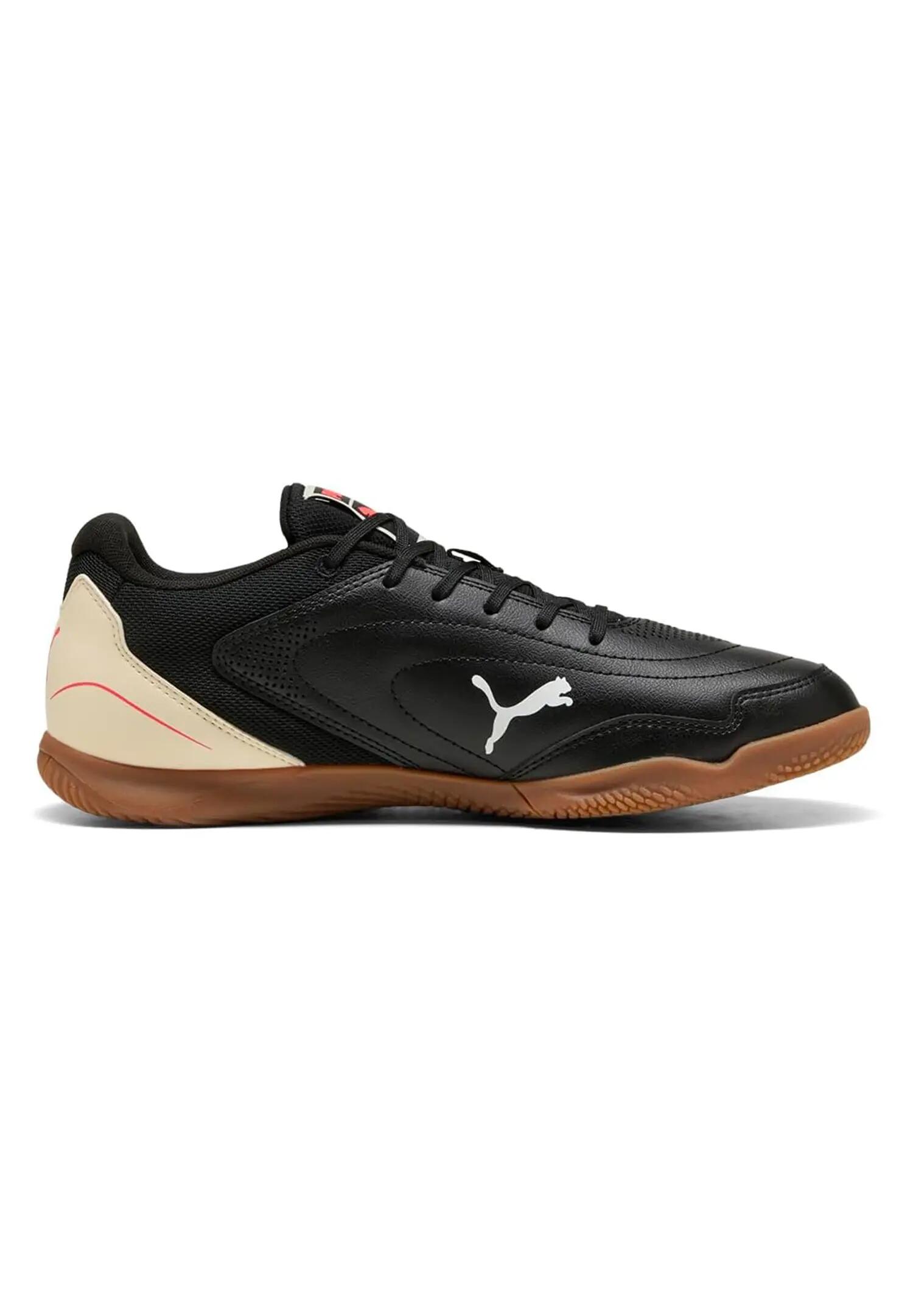 PUMA picture