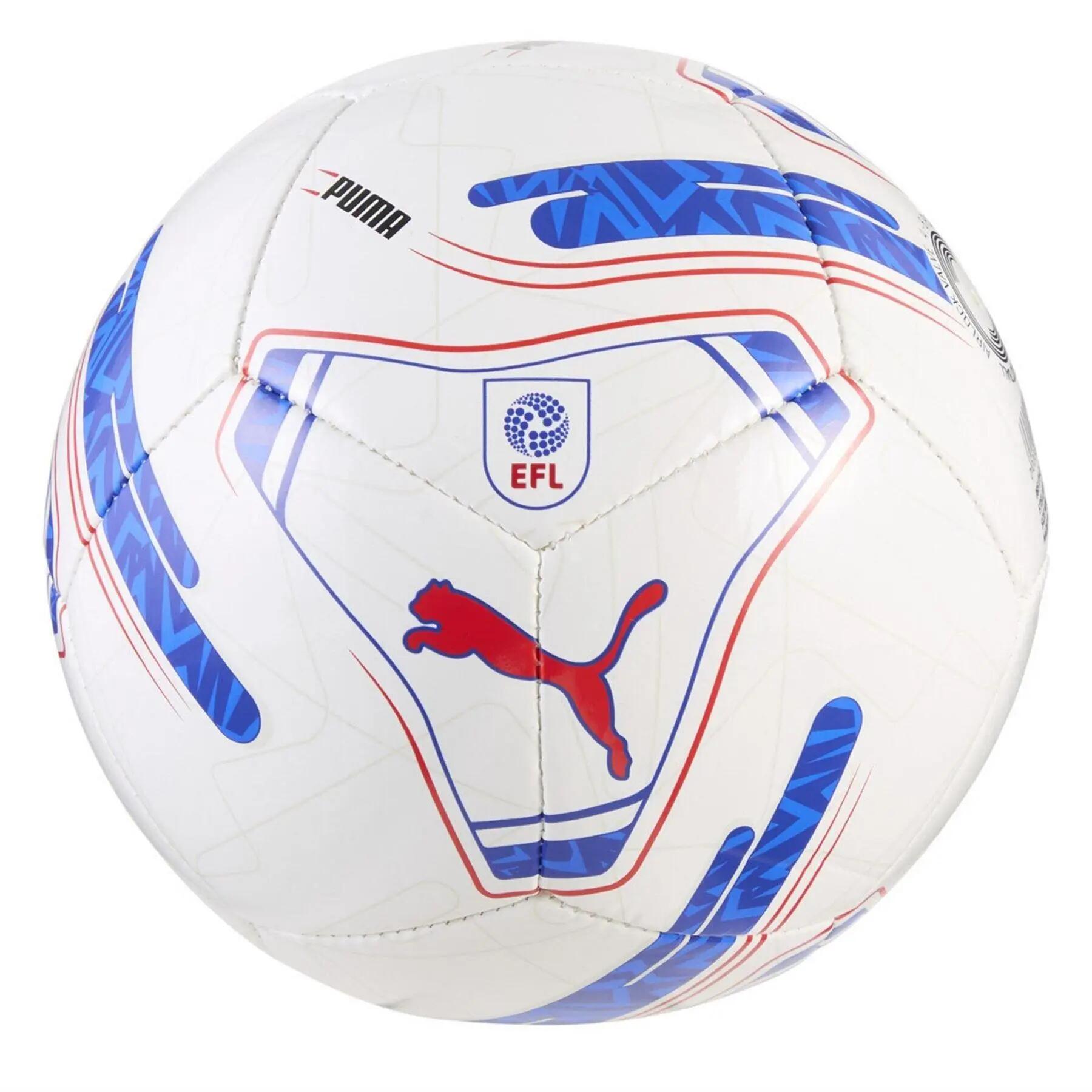 Puma EFL Panelled Football