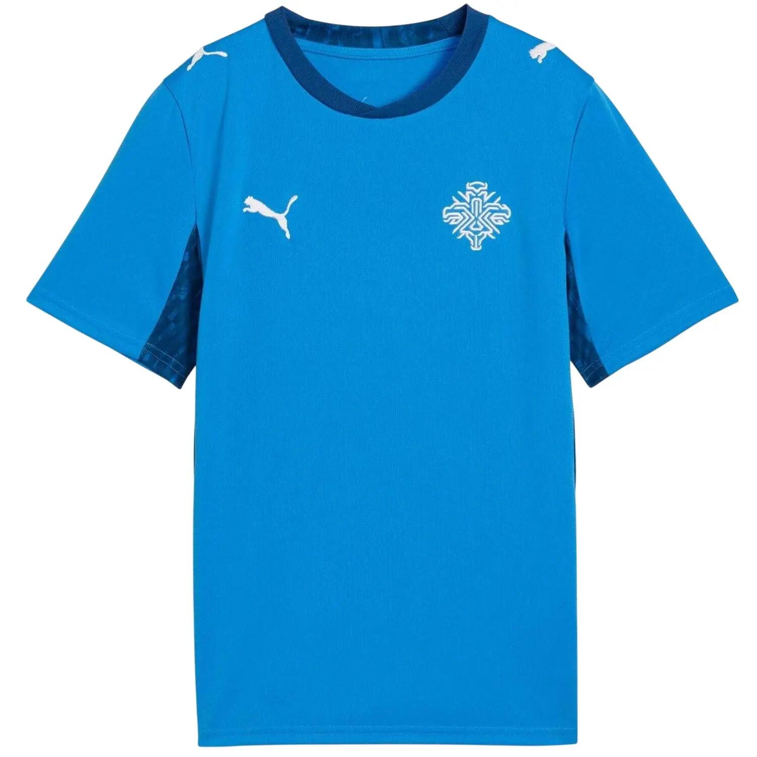 Puma Childrens/Kids World Cup 2026 Iceland Home Shirt