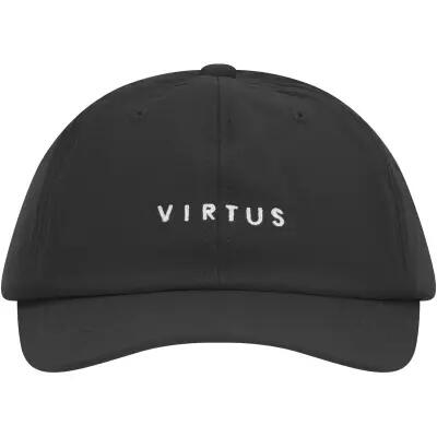 VIRTUS picture
