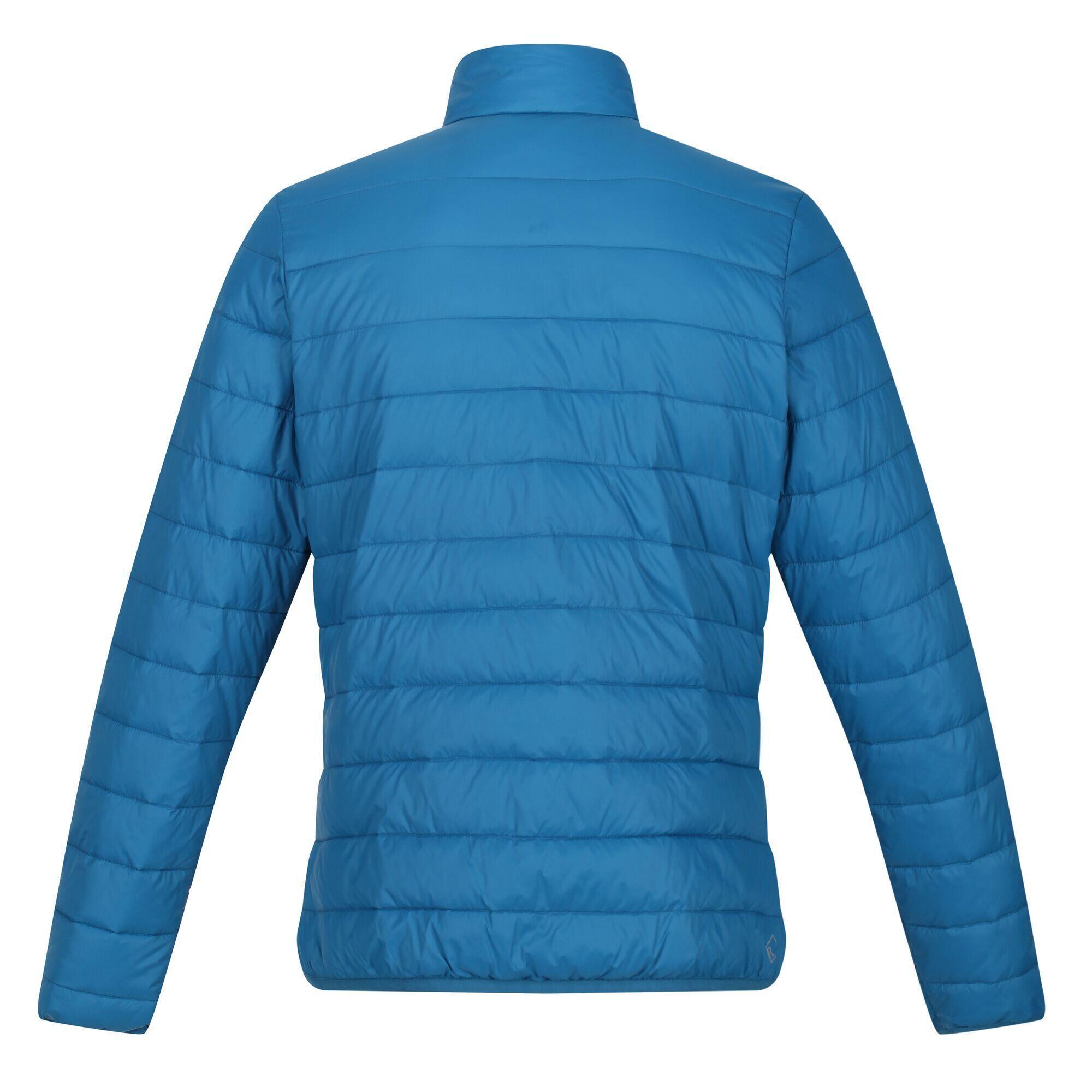 Womens/Ladies Hillpack Padded Jacket (Blue Sapphire) 2/5
