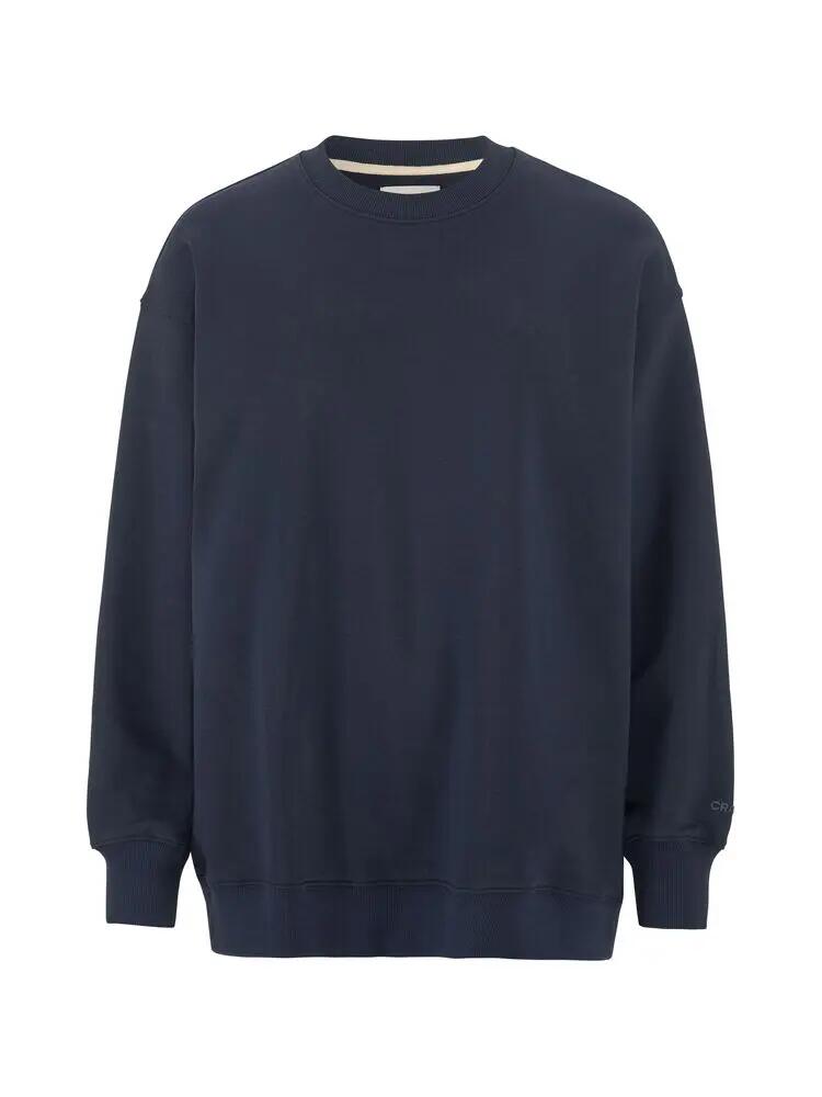 CRAFT picture