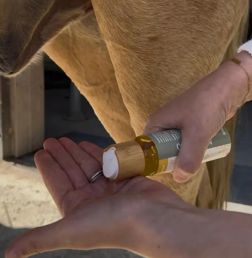 Sérum de protection estivale - NELLUMBO 4/4