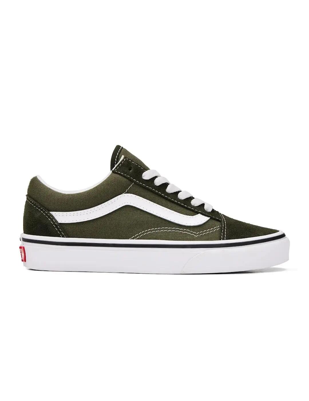VANS picture
