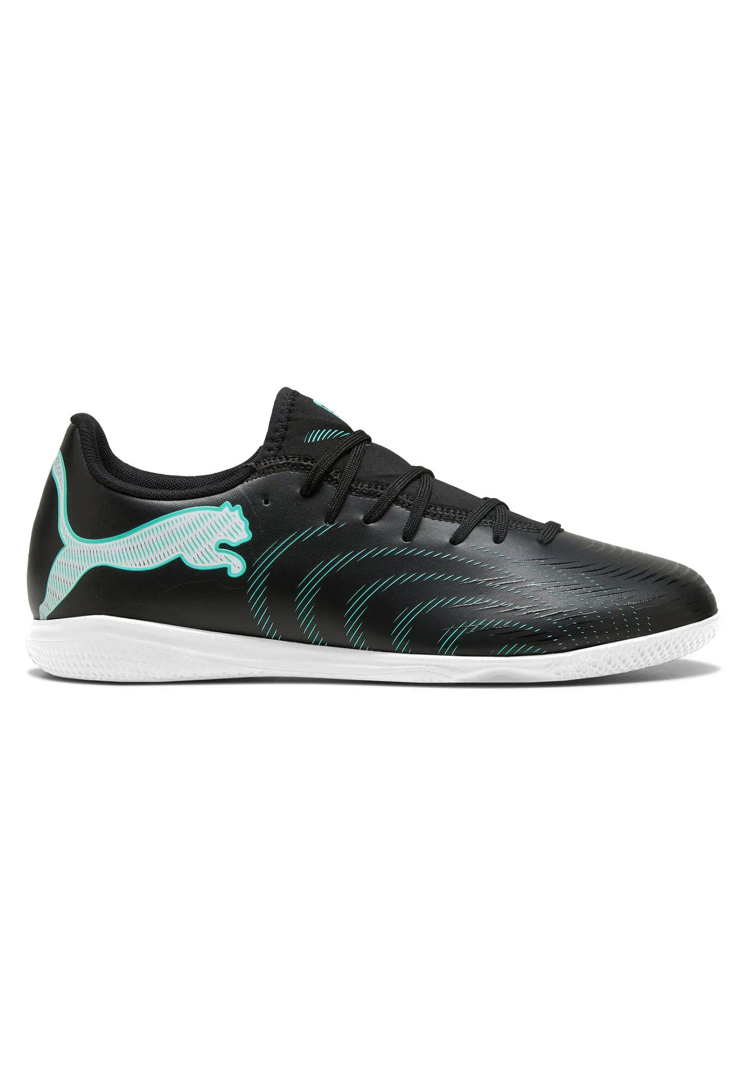 PUMA picture