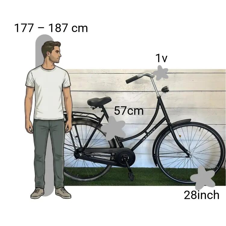 Bicicletta usata Aldo 2/4