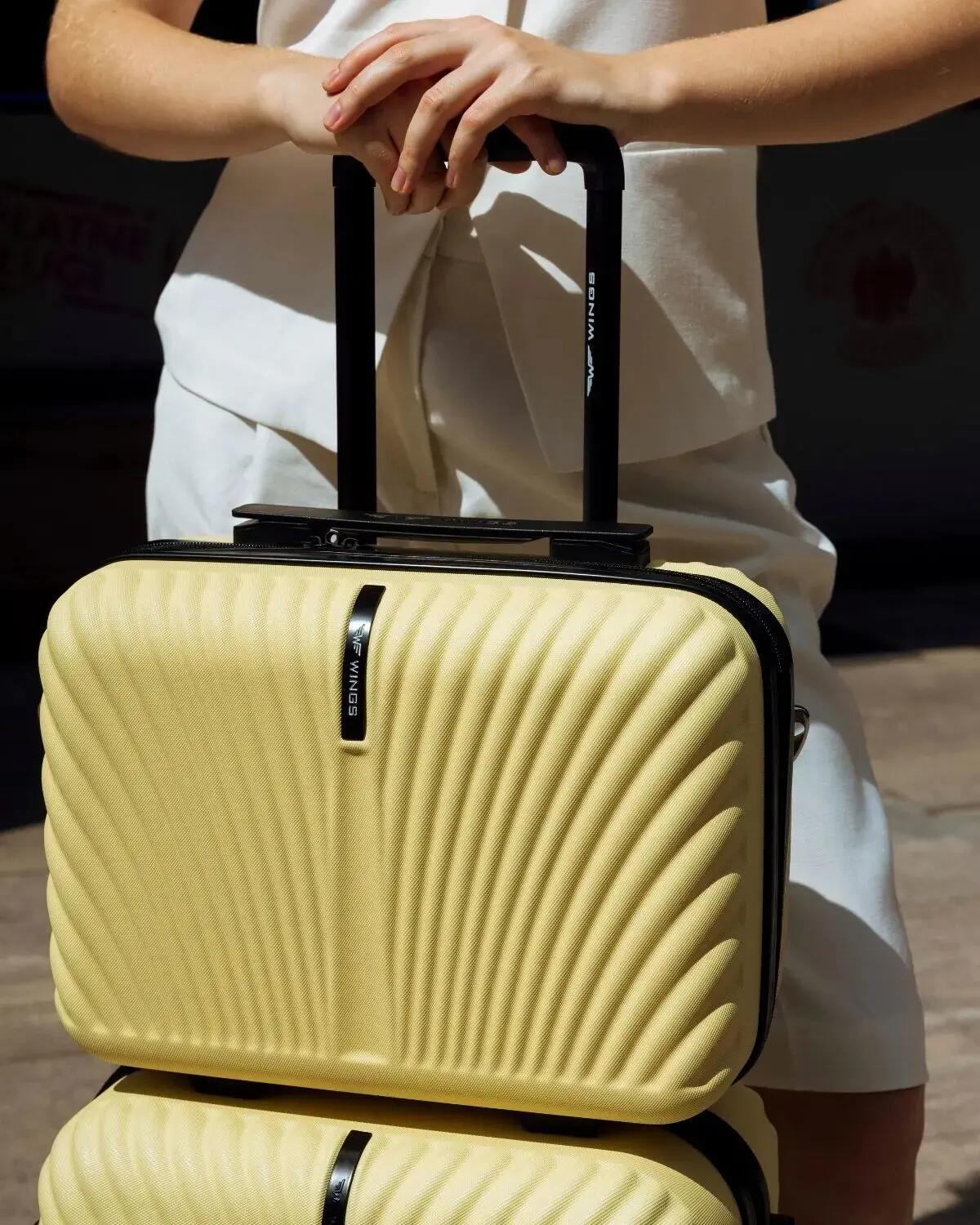 Trousse WINGS SWAN 14" ICE CREAM 2/6