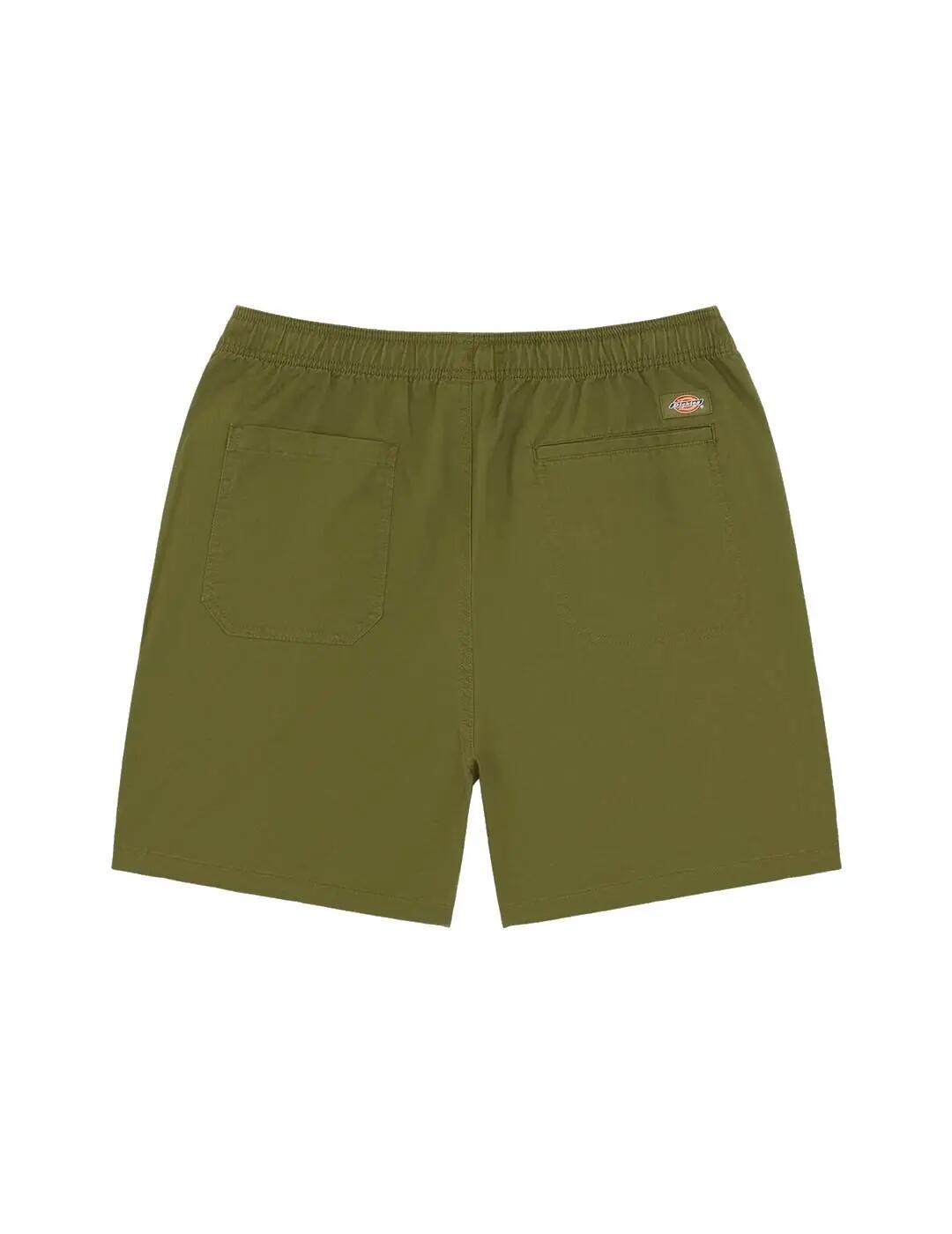 Pantalone da uomo Dickies Pelican rapids verde. 2/4