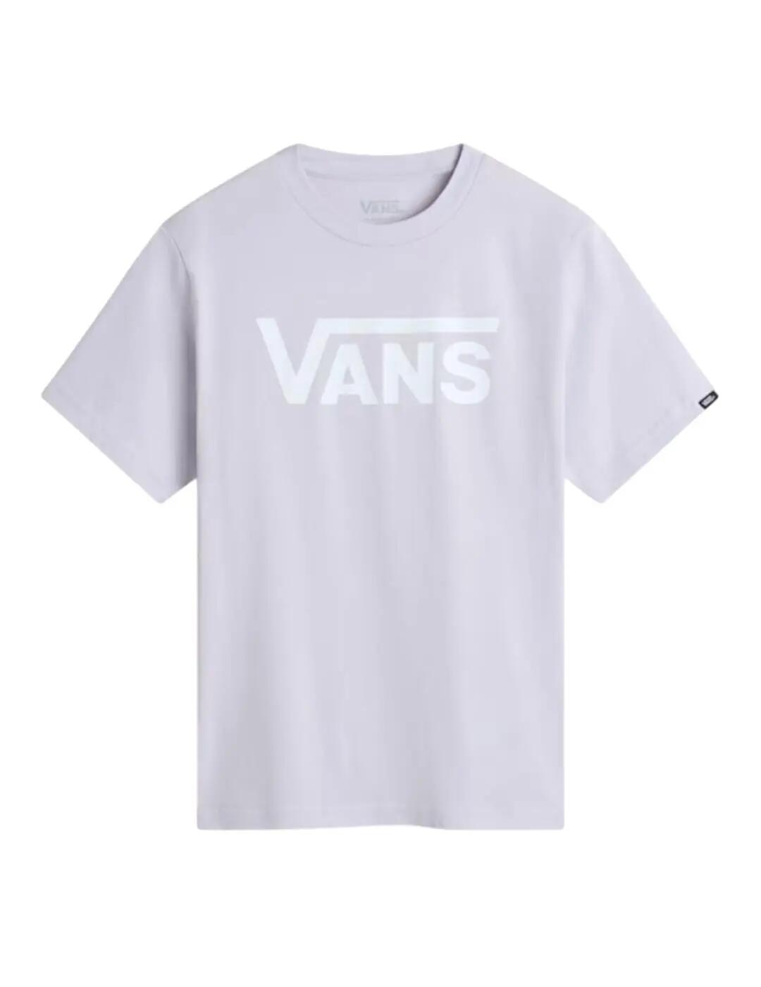 VANS picture