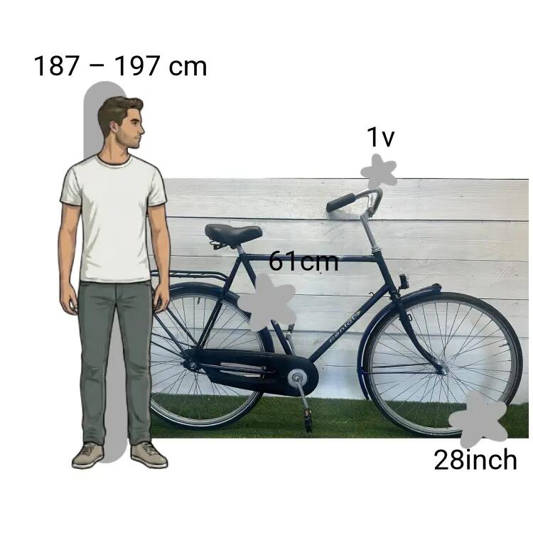 Vélo d’occasion Rental 2/4