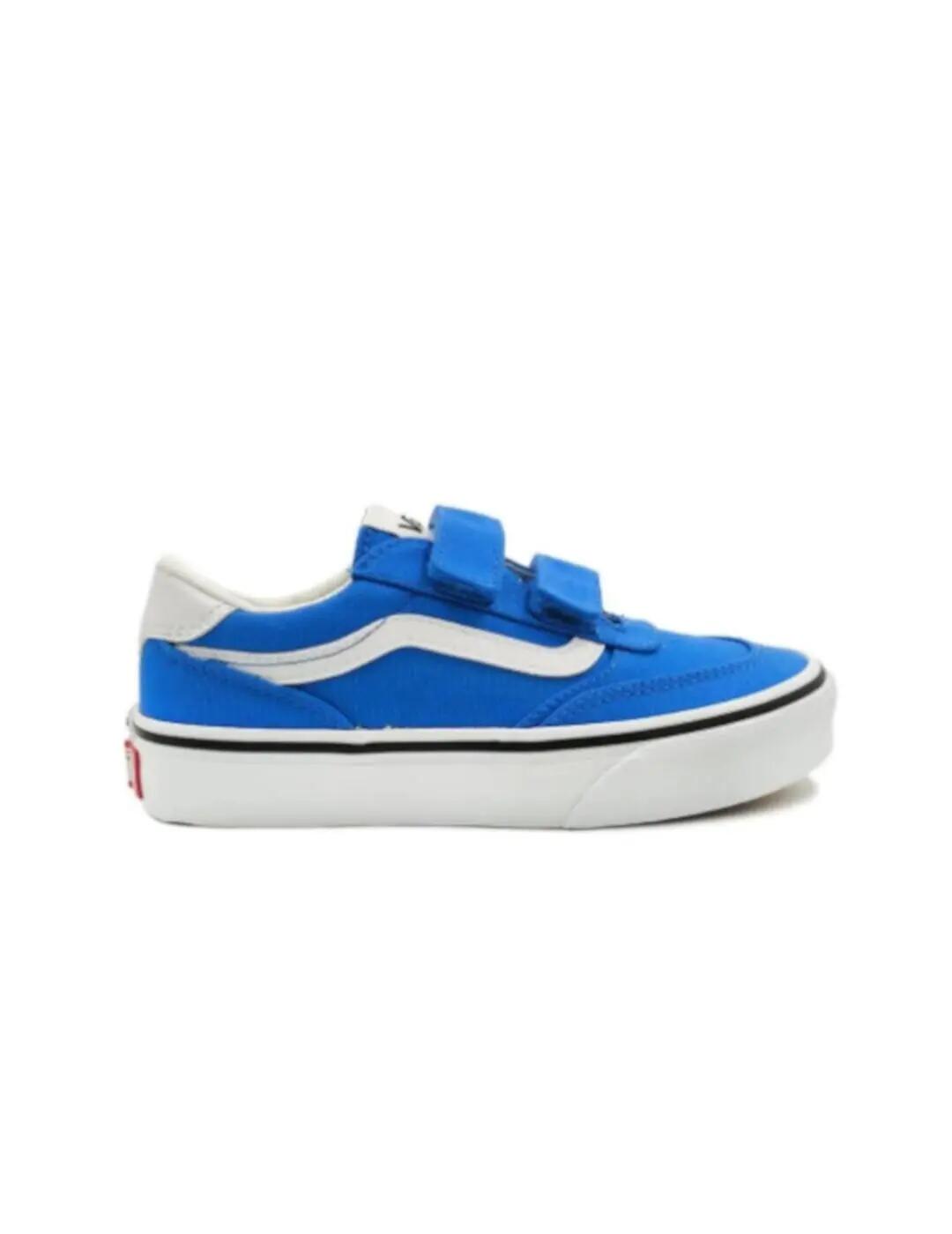 VANS picture