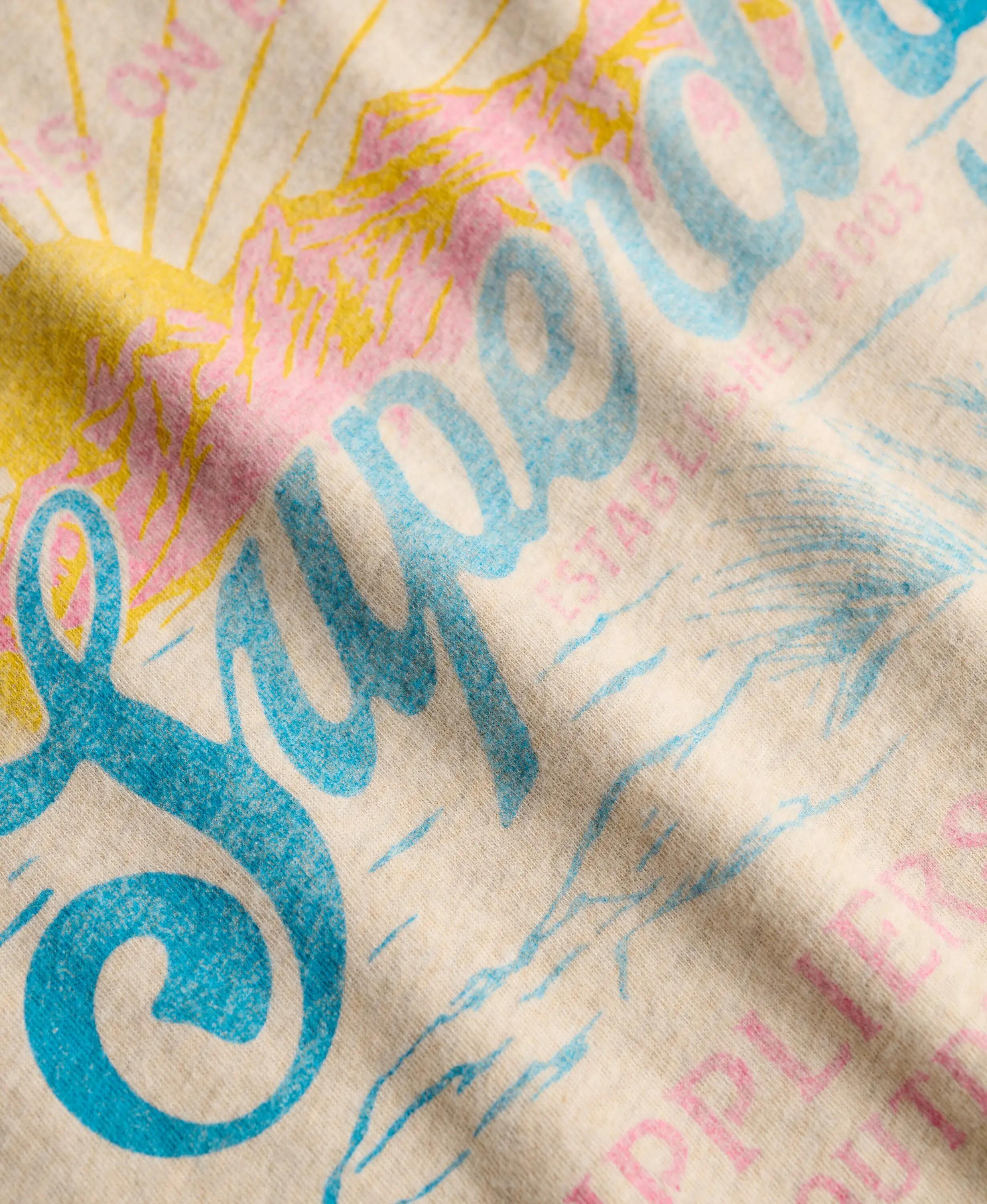 superdry T-shirt Outdoors Mountain Relaxed in 100% cotone biologico – relaxed 6/7