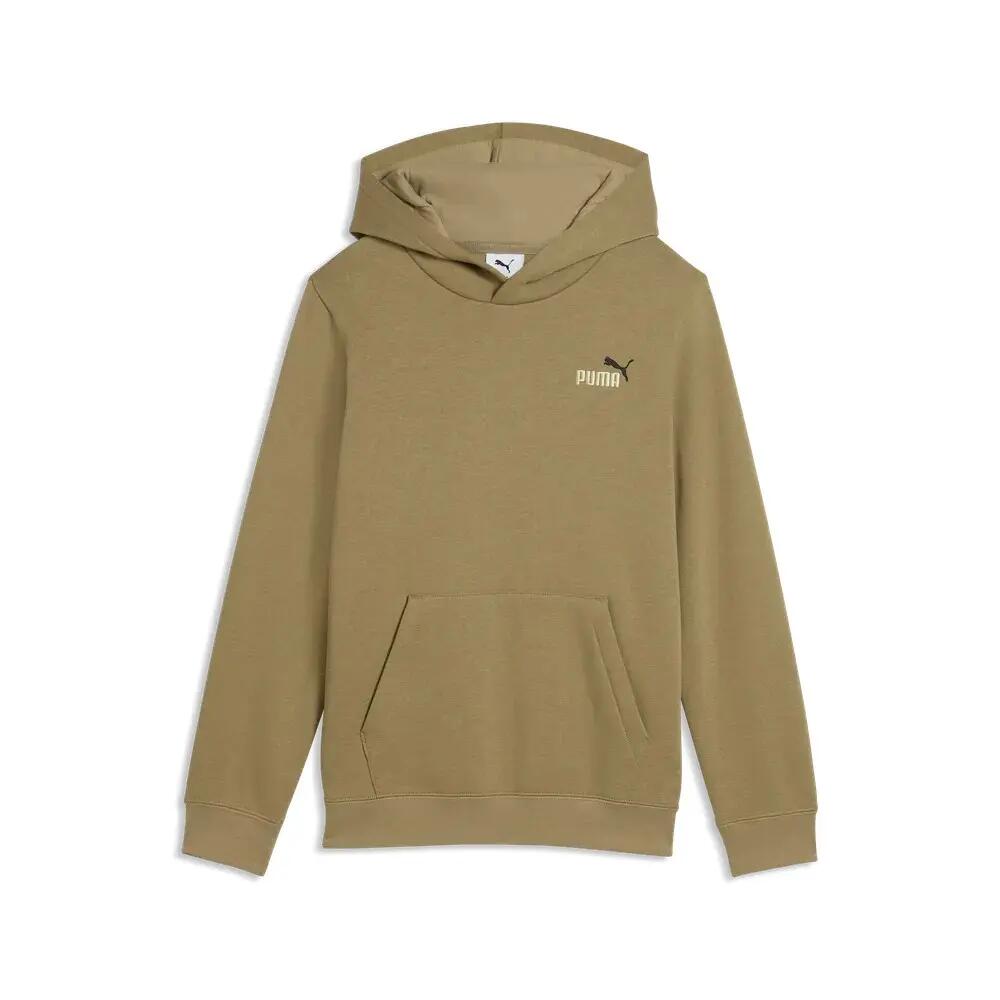 PUMA picture