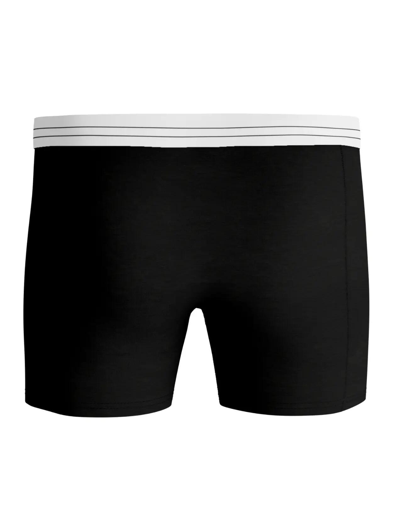 bjorn_borg Boxer VISCOSE COTTON BLEND 2p – MULTIPACK 1 3/5