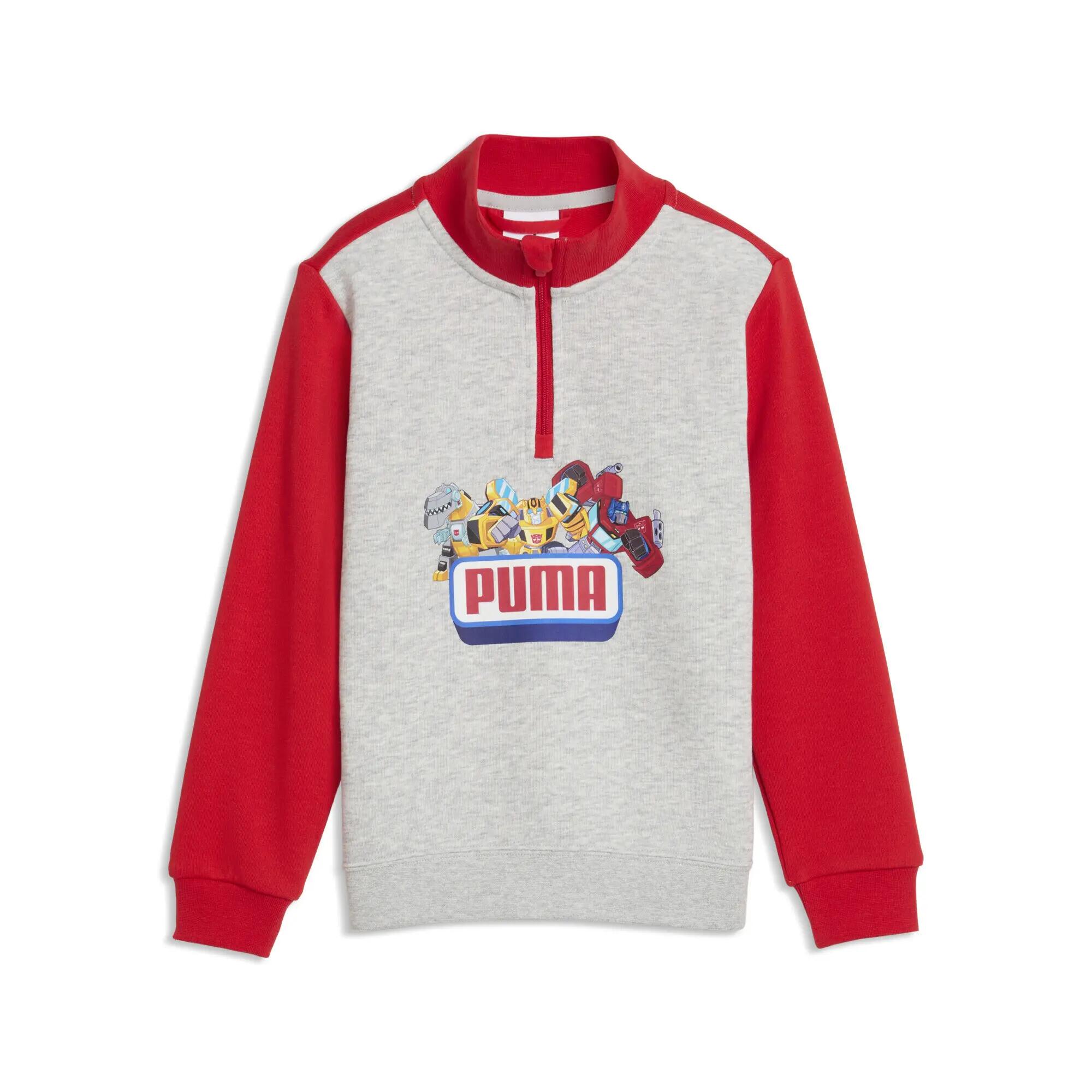 PUMA picture
