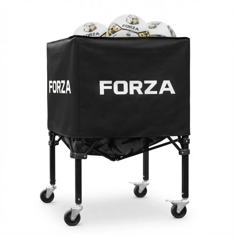 FORZA picture