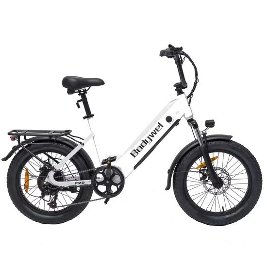 Vélo Électrique F20 48V 15Ah 90km Pneus Fat 20x3 Shimano 7V Cadre Ouvert