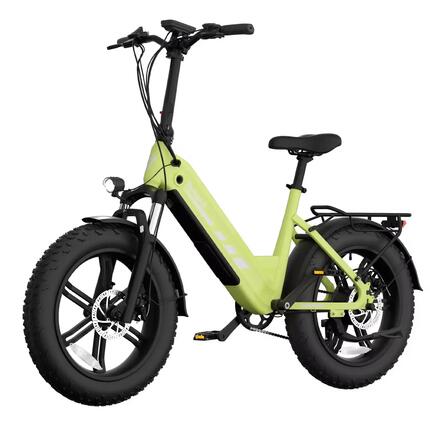 Vélo Électrique F20 PRO 250W Batterie 48V 20Ah 110km PAS Fat 20x4 Shimano 7