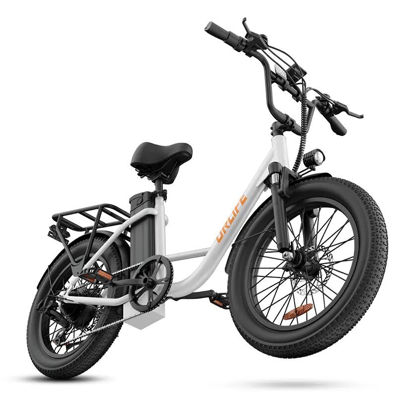 URLIFE E20 – Bicicletta Elettrica Fat Tire 20 x 3.0", Batteria 48V 13Ah 2/4