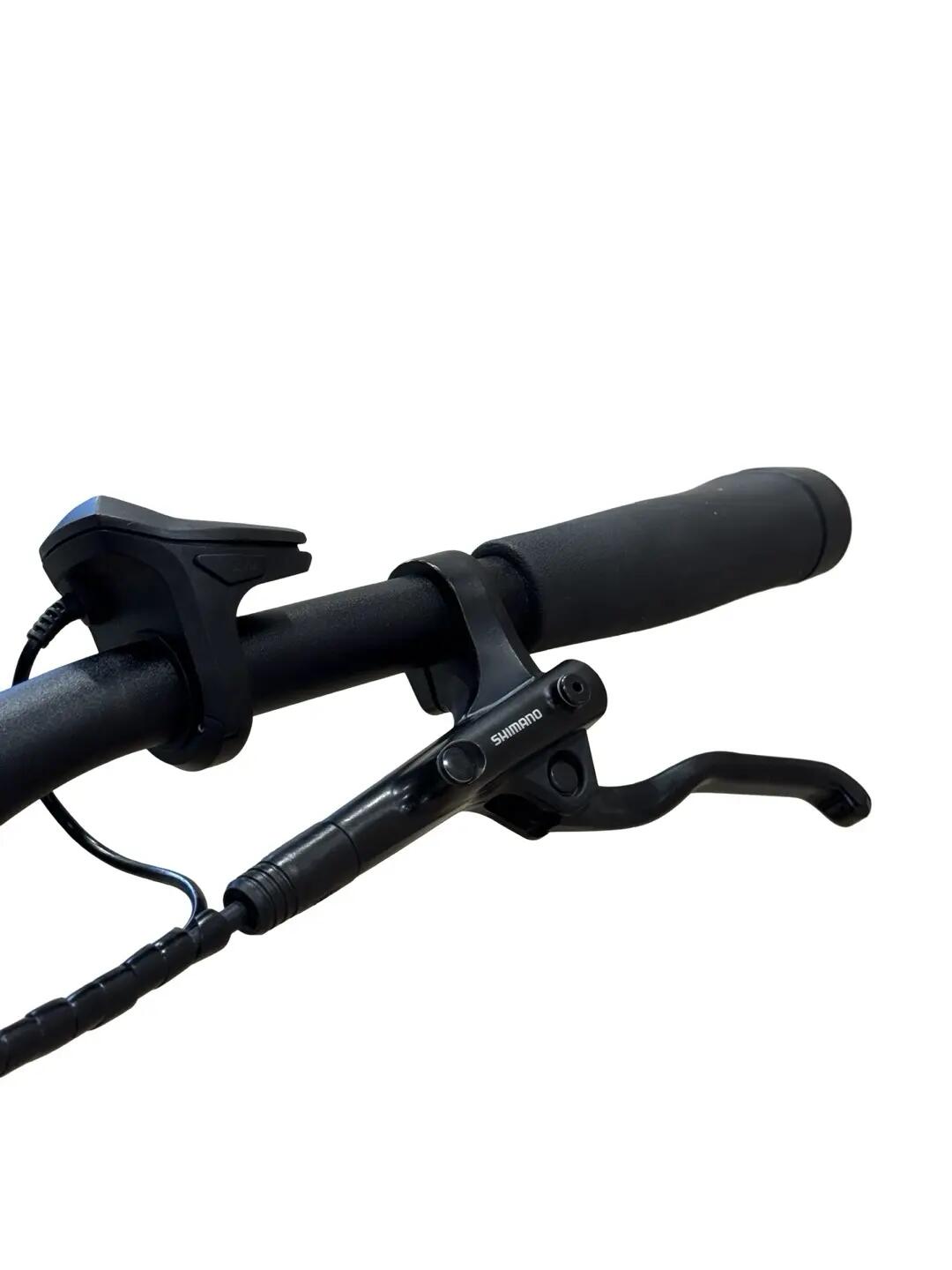 Refurbished - E-Bike Diamant Zouma+ Shimano Alivio - Zeer goed 6/15