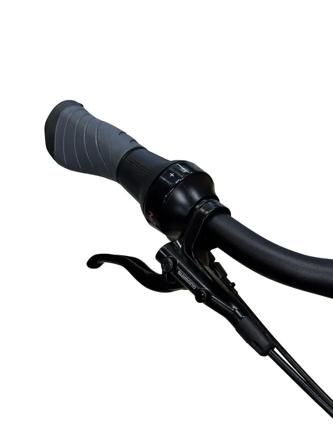 Ricondizionata - Bici elettriche Falter SUB 9.5 FL PLUS 600 - Stato eccellente 5/13
