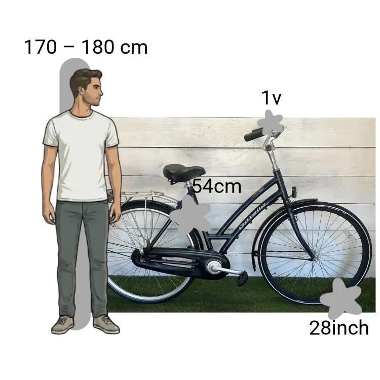 Bicicleta usada Gazelle Davos 2/4