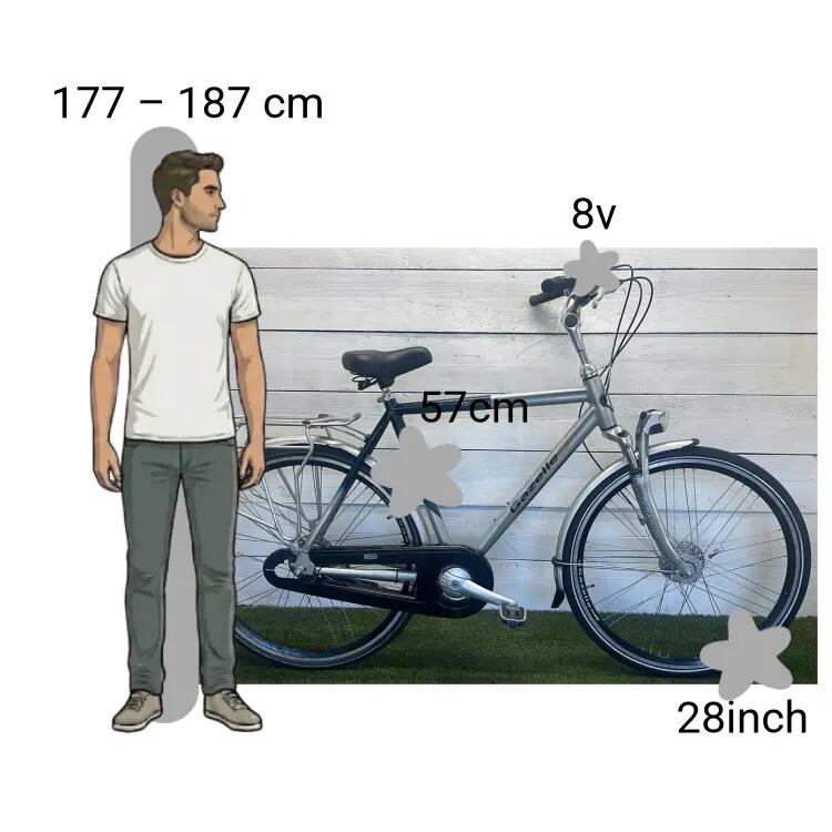 Bicicleta usada Gazelle Orange 2/4
