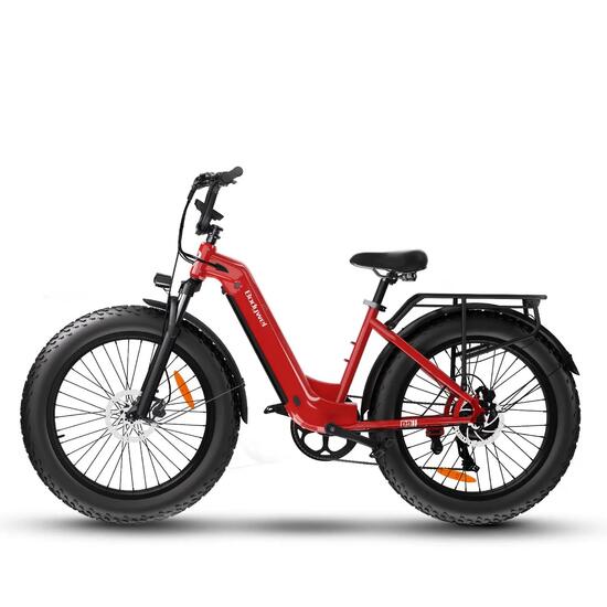 Fat Bike Électrique D9 Bluetooth,contrôle par application 250W Batterie 48V 15Ah