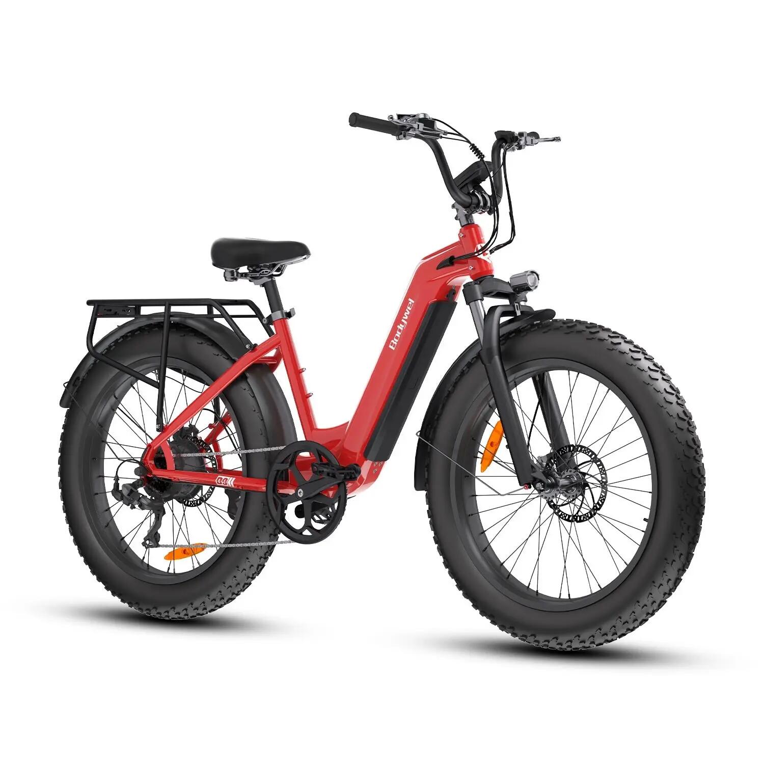 Elektrische Fatbike D9 Bluetooth, app-bediening 250W 48V 15Ah Panasonic Accu 26" 4/4