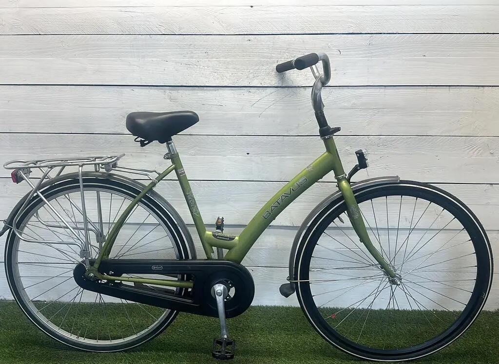 BATAVUS picture