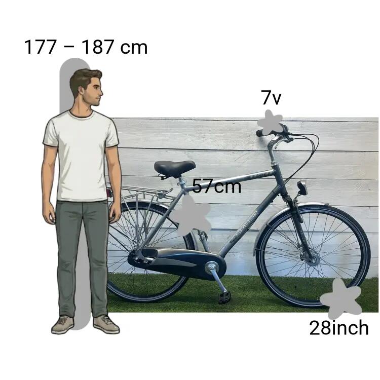 Vélo d’occasion Van Speijk 2/4