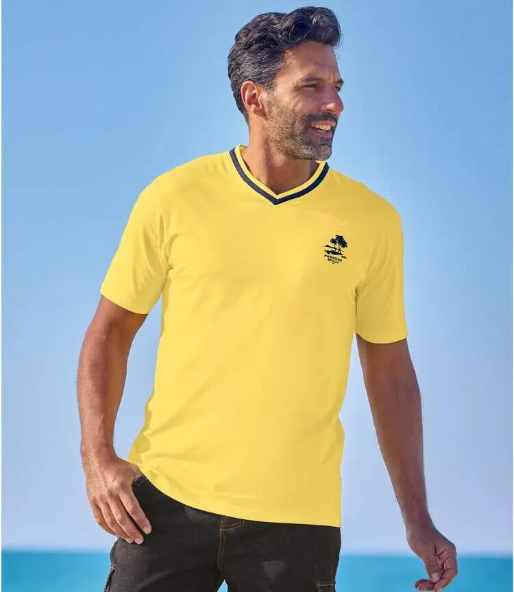 Lot de 5 Tee-shirts Unis Col V  2/7