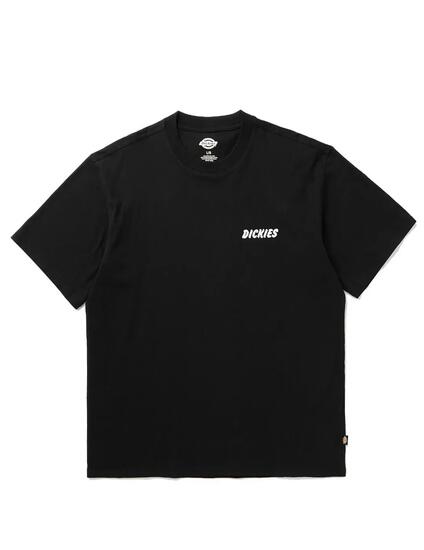 T-shirt pour homme Dickies dry ridge Noir.