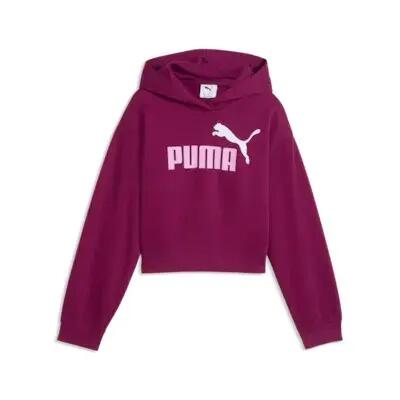 PUMA picture