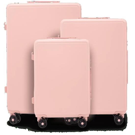 Ensemble de 3 valises Wings ABS + BUNTING ROSE PÂLE SOUPLE