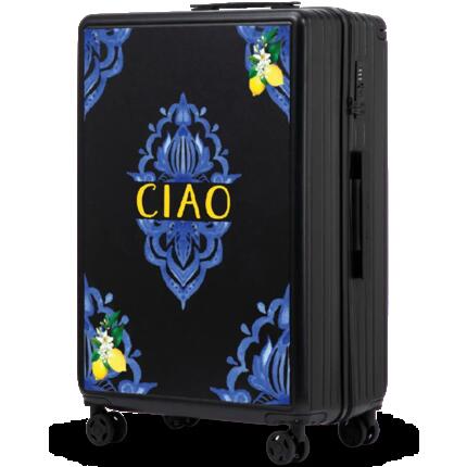 Grande valise Wings ABS+ 28" personnalisée BLEU PASTEL COQUELICOTS POPIERSIE