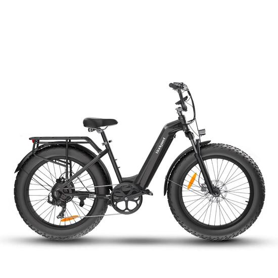 Fat Bike Électrique D9 Bluetooth,contrôle par application 250W Batterie 48V 15Ah