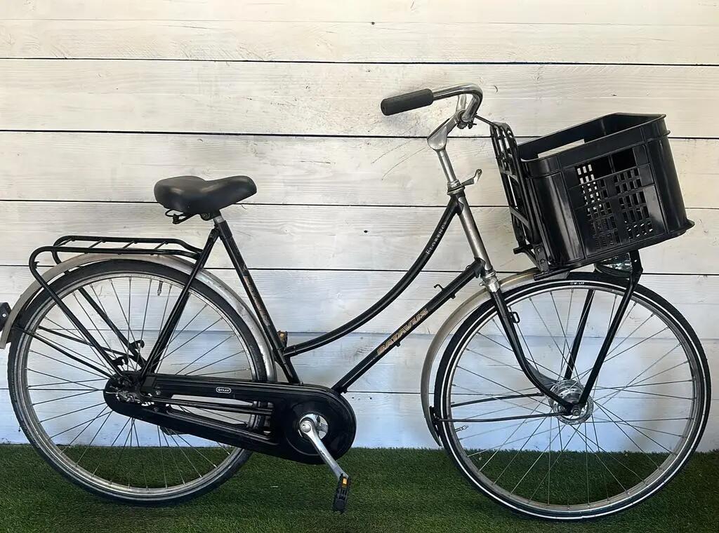 BATAVUS picture