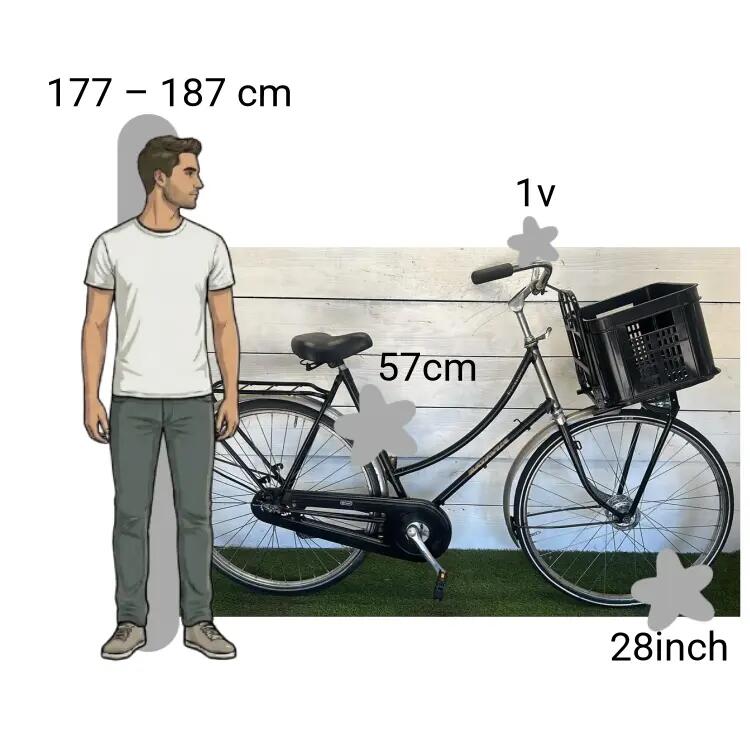 Bicicletta usata Batavus Florence 2/4