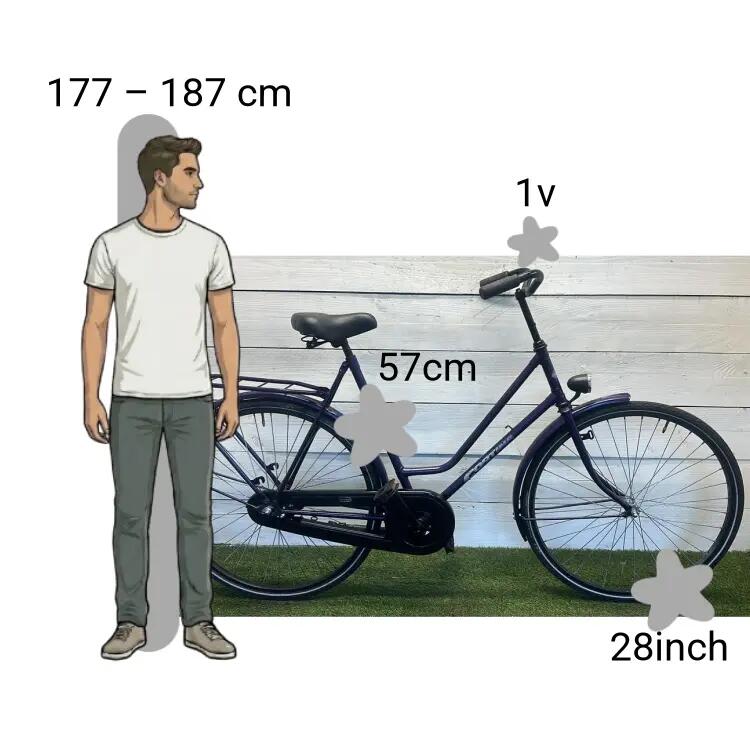 Vélo d’occasion Cortina 2/4