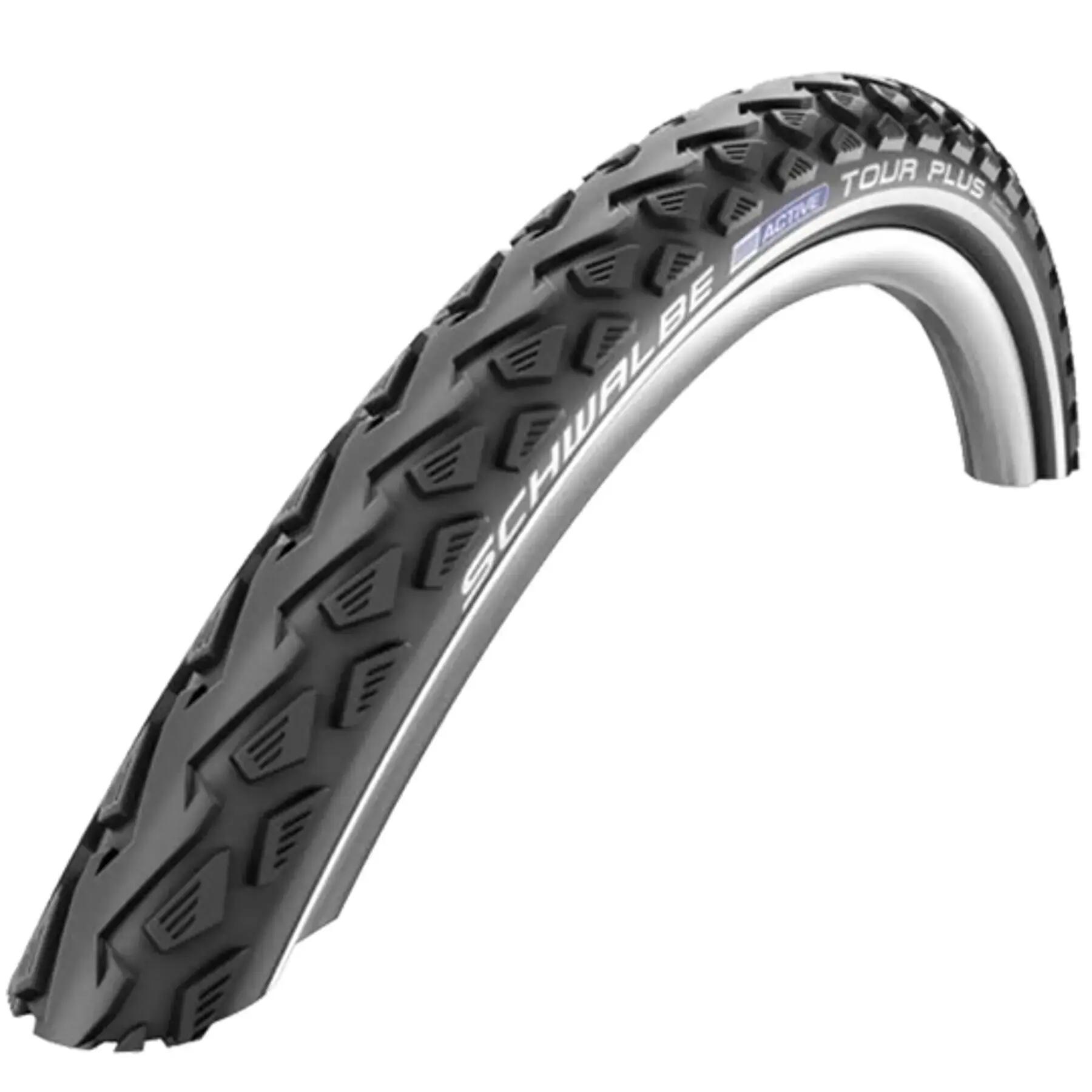 SCHWALBE picture