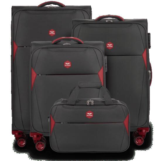Ensemble de 3 valises DIPPER + sac cabine Wings GRIS