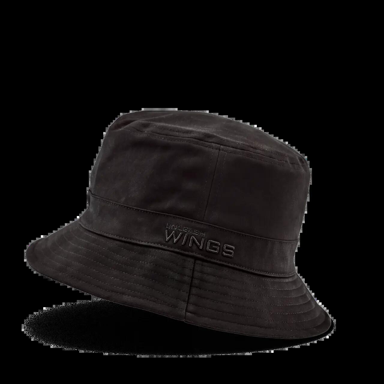 WINGS picture