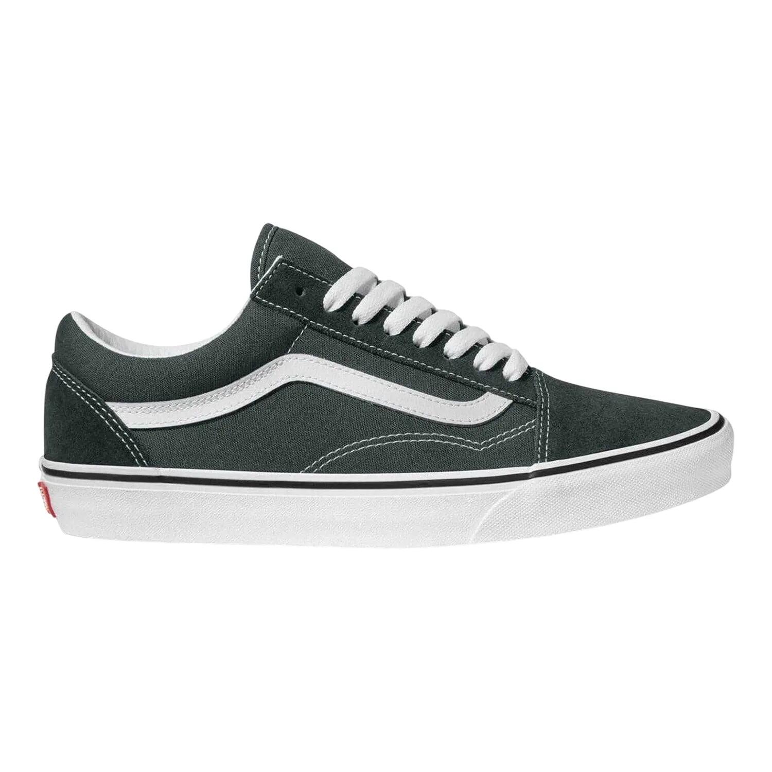 VANS picture