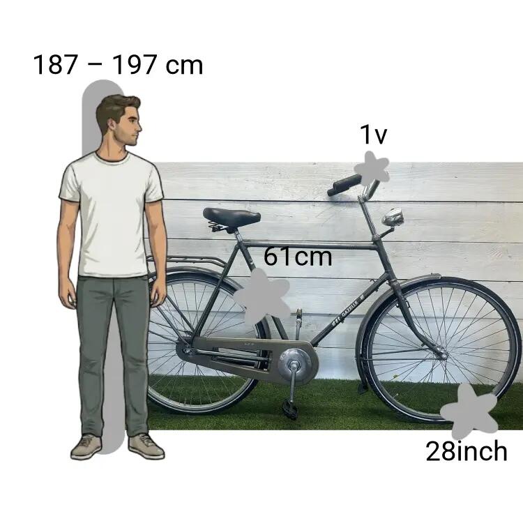 Bicicleta usada Gazelle Primeur 2/4