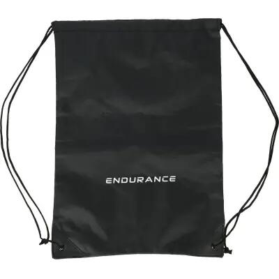 ENDURANCE picture