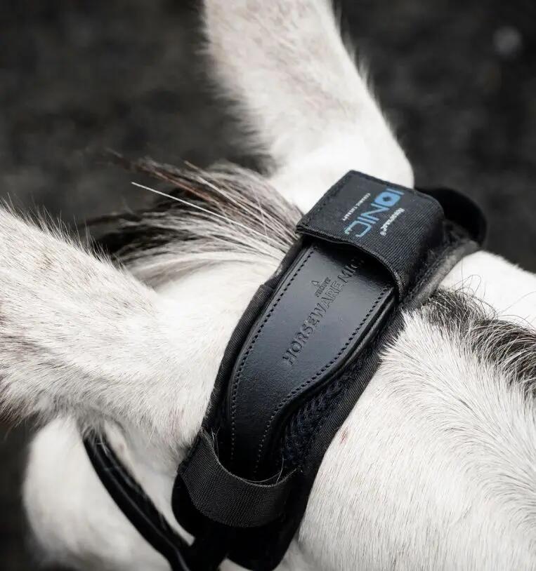 HORSEWARE IRELAND picture