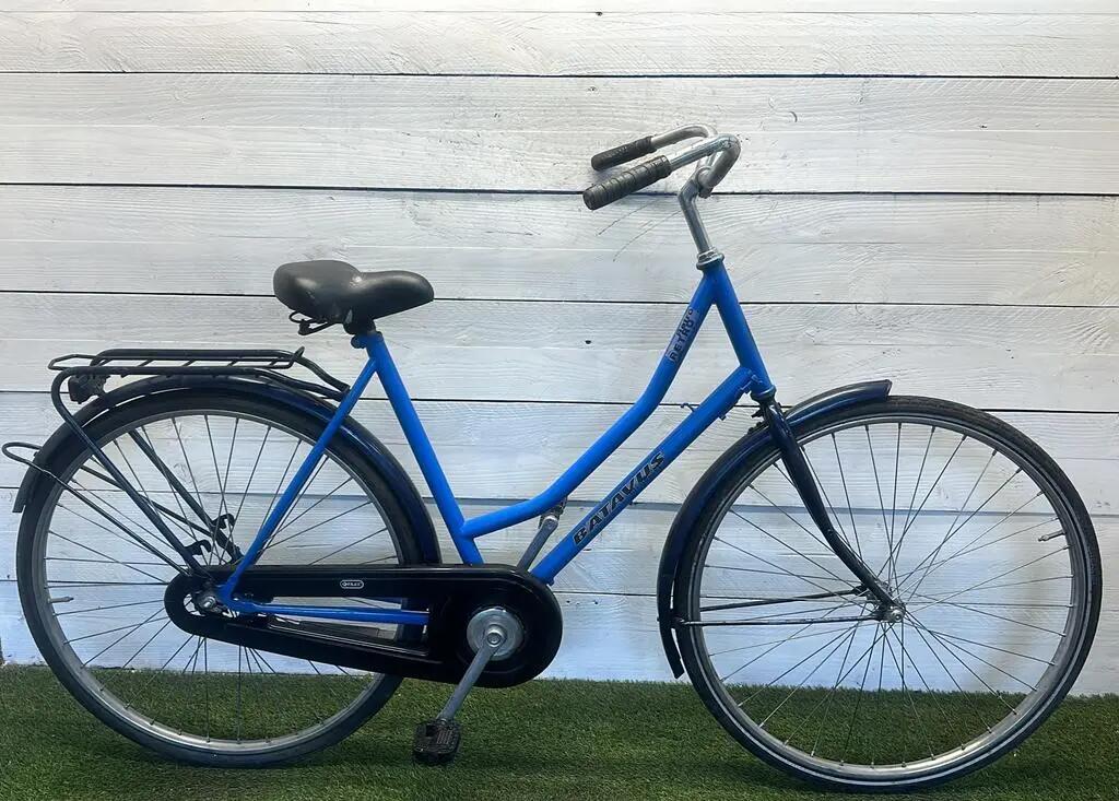 BATAVUS picture