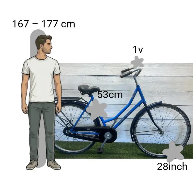 Bicicletta usata Batavus Retro 2/4