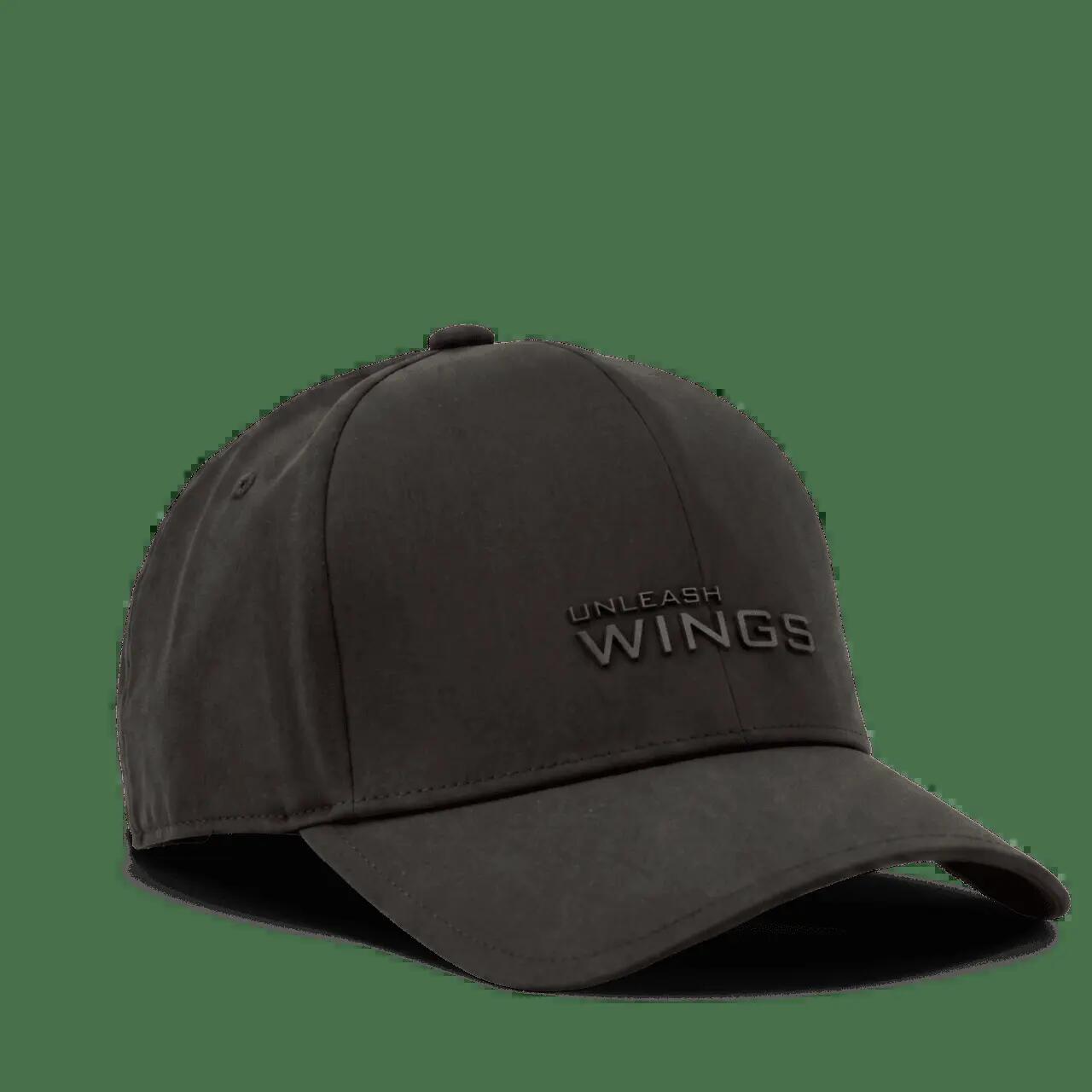 WINGS picture